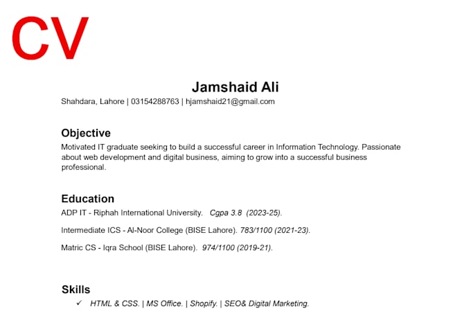 design a professional resume or cv